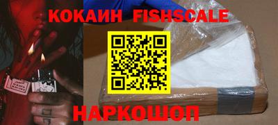 индика Кингисепп