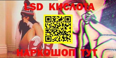 индика Кингисепп