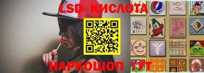 индика Кингисепп