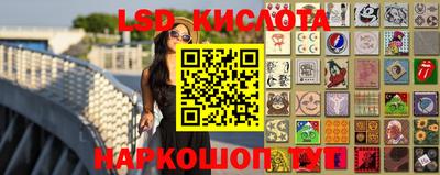 индика Кингисепп