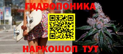 ECSTASY Кимры