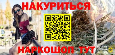 индика Кингисепп