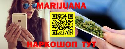 индика Кингисепп