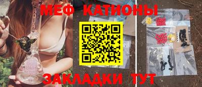 индика Кингисепп
